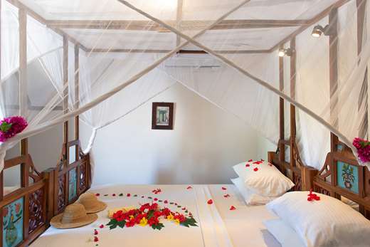 Garden View Room